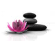 Wellness Stones and Lotus Wall Decal