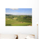 Vineyard