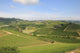 Vineyard