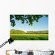 Summer landscape, Cornfield Wall Mural