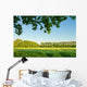 Summer landscape, Cornfield Wall Mural