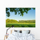 Summer landscape, Cornfield Wall Mural