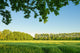 Summer landscape, Cornfield Wall Mural