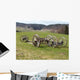 Charrues Wall Decal