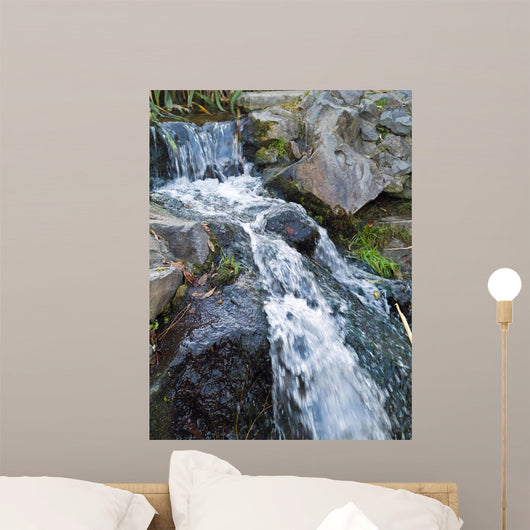 Small Stream Flowing over Wall Mural