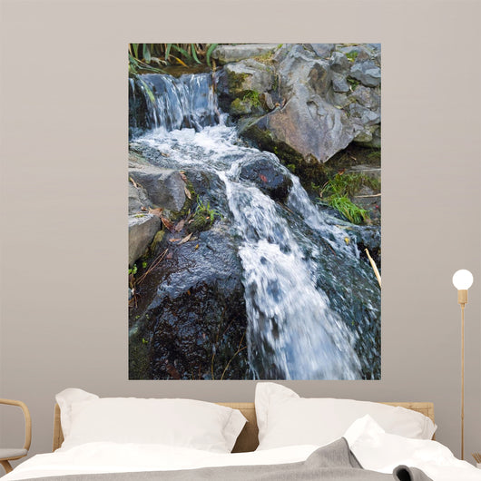 Small Stream Flowing over Wall Mural