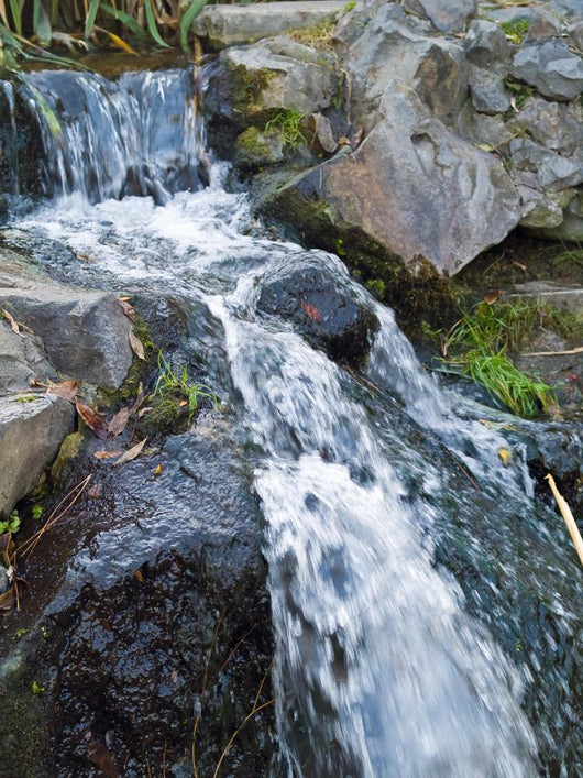 Small Stream Flowing over Wall Mural