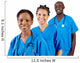 group of african american doctors Wall Mural