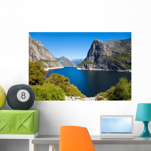 Hetch Hetchy Landscape Wall Mural