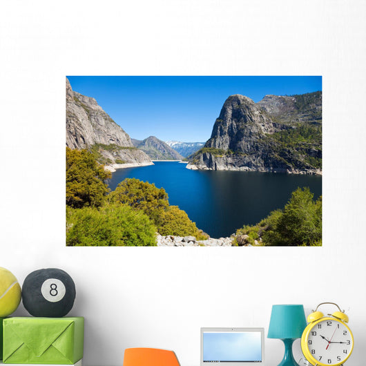 Hetch Hetchy Landscape Wall Mural