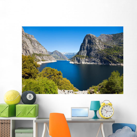 Hetch Hetchy Landscape Wall Mural