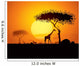 Tranquil Sunset Scene Africa