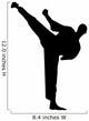 Martial Arts Silhouette Wall Decal