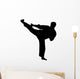 martial arts silhouette Wall Decal