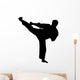 martial arts silhouette Wall Decal