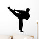 martial arts silhouette Wall Decal