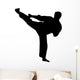 martial arts silhouette Wall Decal