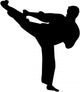martial arts silhouette Wall Decal