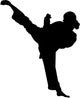 Martial Arts Silhouette Wall Decal