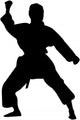 Martial Arts Silhouette Wall Decal
