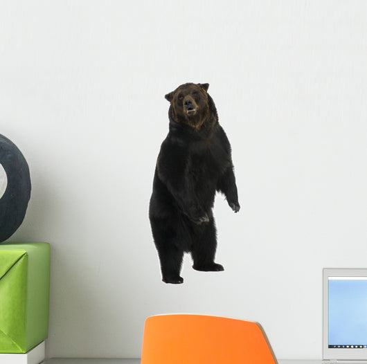 Siberian Brown Bear 12 Wall Decal