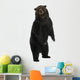 Siberian Brown Bear 12 Wall Decal