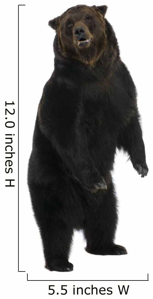 Siberian Brown Bear 12 Wall Decal