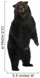 Siberian Brown Bear 12 Wall Decal