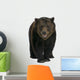 Siberian Brown Bear, 12 years old, walking Wall Decal