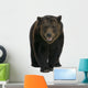 Siberian Brown Bear, 12 years old, walking Wall Decal