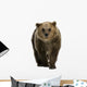 Female Brown Bear Wall Decal