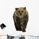 Female Brown Bear Wall Decal
