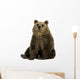 Female Brown Bear 8 Wall Decal