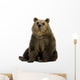 Female Brown Bear 8 Wall Decal