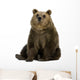 Female Brown Bear 8 Wall Decal