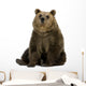 Female Brown Bear 8 Wall Decal