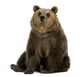 Female Brown Bear 8 Wall Decal