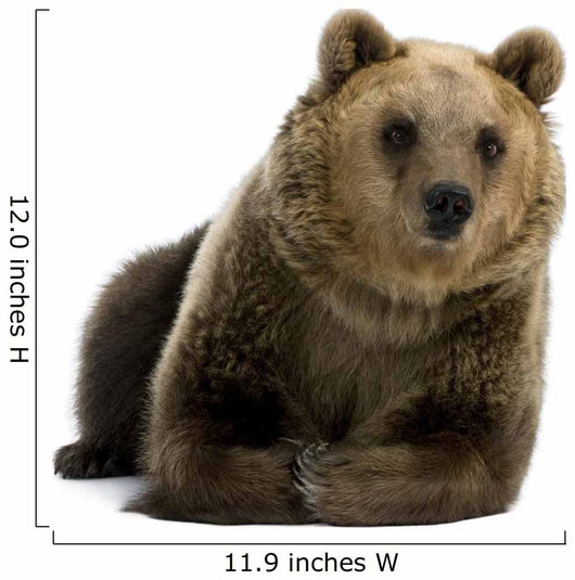 Female Brown Bear Lying Down Wall Decal