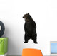 Grizzly Bear 10 Years Old Standing Upright Wall Decal