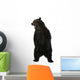 Grizzly Bear 10 Years Old Standing Upright Wall Decal