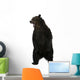 Grizzly Bear 10 Years Old Standing Upright Wall Decal