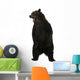 Grizzly Bear 10 Years Old Standing Upright Wall Decal