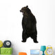 Grizzly Bear 10 Years Old Standing Upright Wall Decal