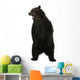 Grizzly Bear 10 Years Old Standing Upright Wall Decal