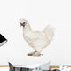 White Silkie, 6 months old, standing against white background Wall Decal