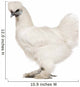 White Silkie, 6 months old, standing against white background Wall Decal