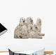 White Corded Standard Poodle Wall Decal
