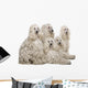 White Corded Standard Poodle Wall Decal