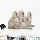 White Corded Standard Poodle Wall Decal