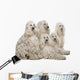 White Corded Standard Poodle Wall Decal